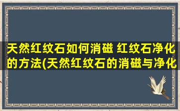 天然红纹石如何消磁 红纹石净化的方法(天然红纹石的消磁与净化方法详解)